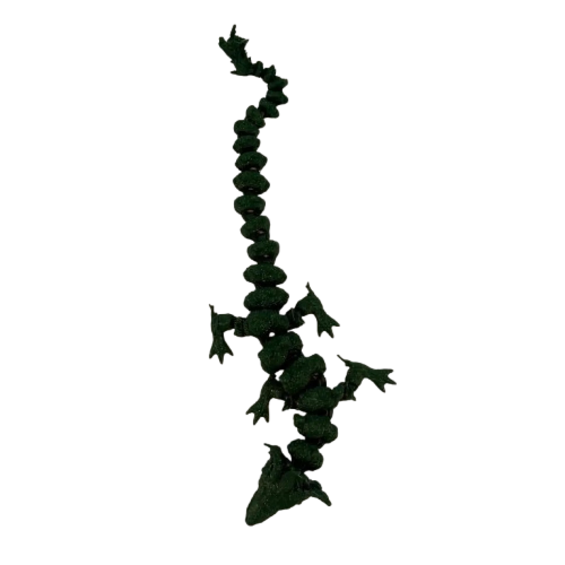 IMG_1238-removebg-preview