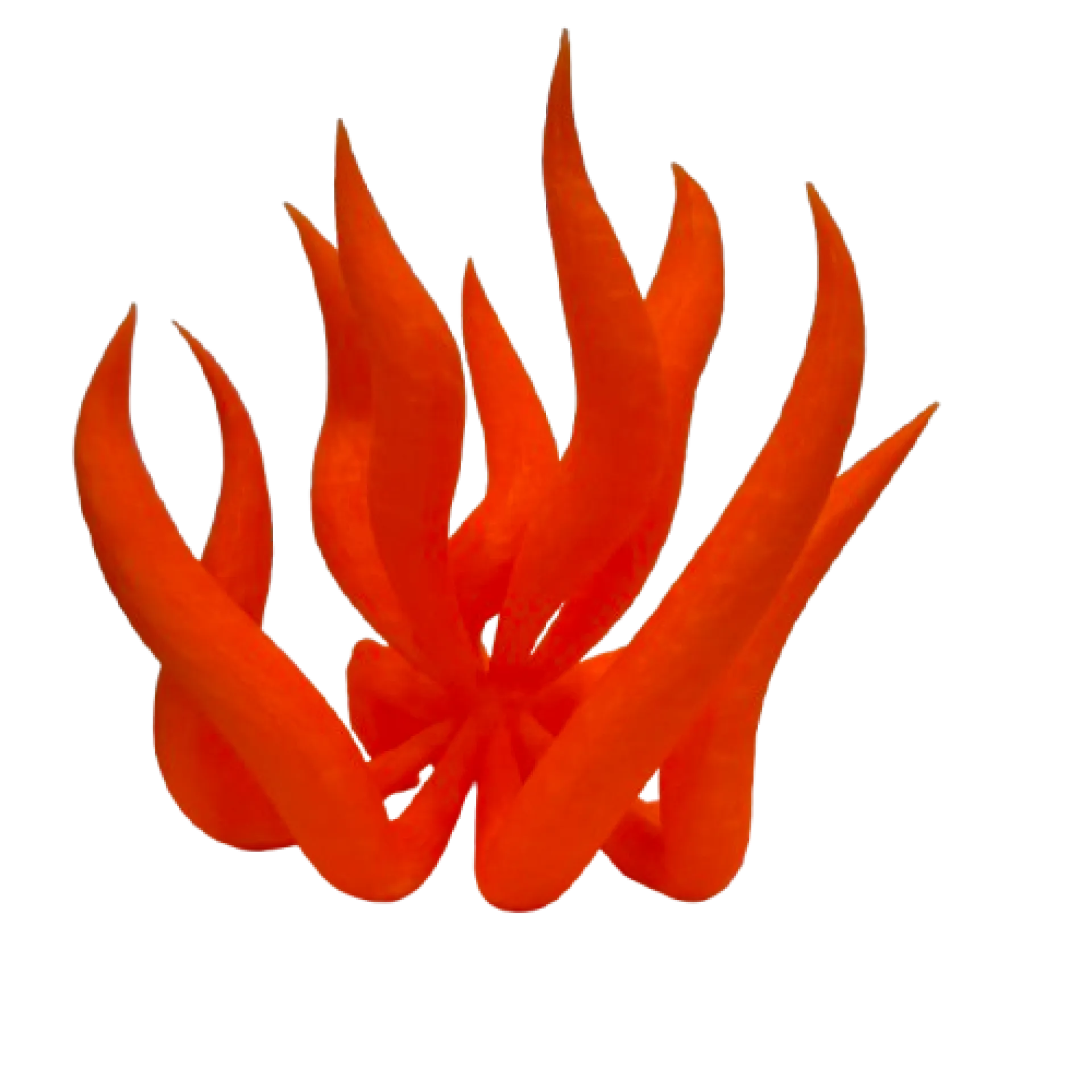 IMG_1288-removebg-preview