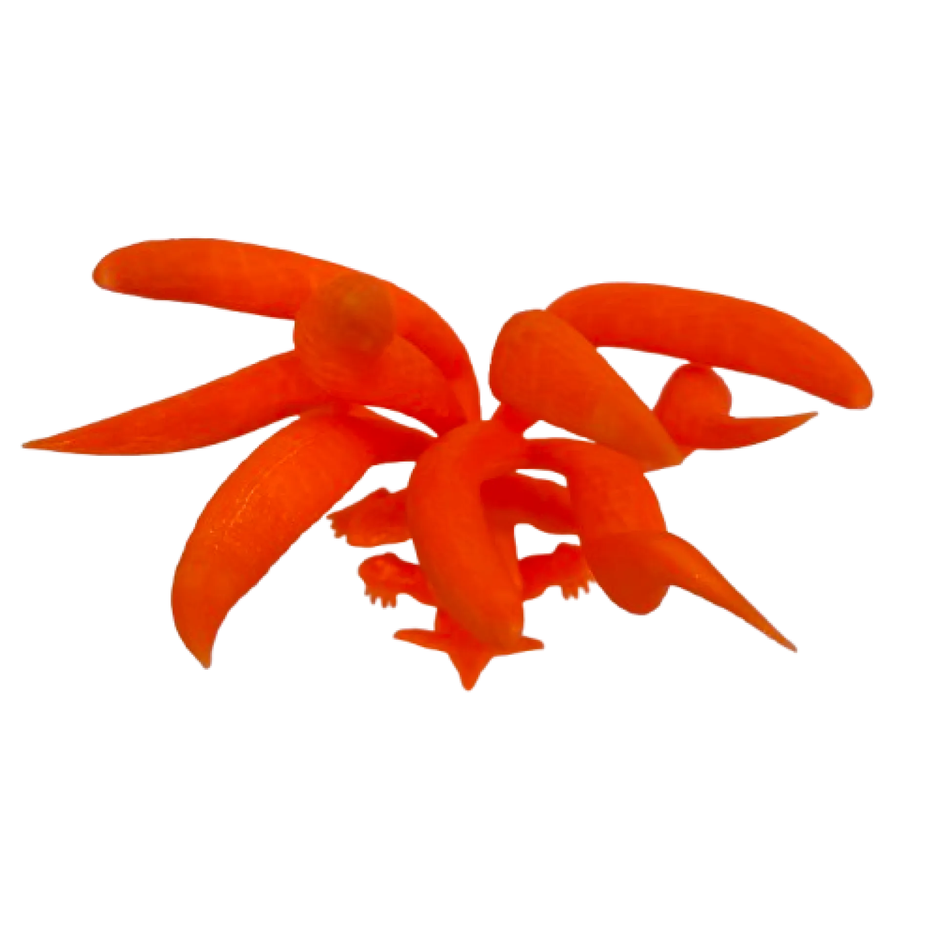 IMG_1292-removebg-preview