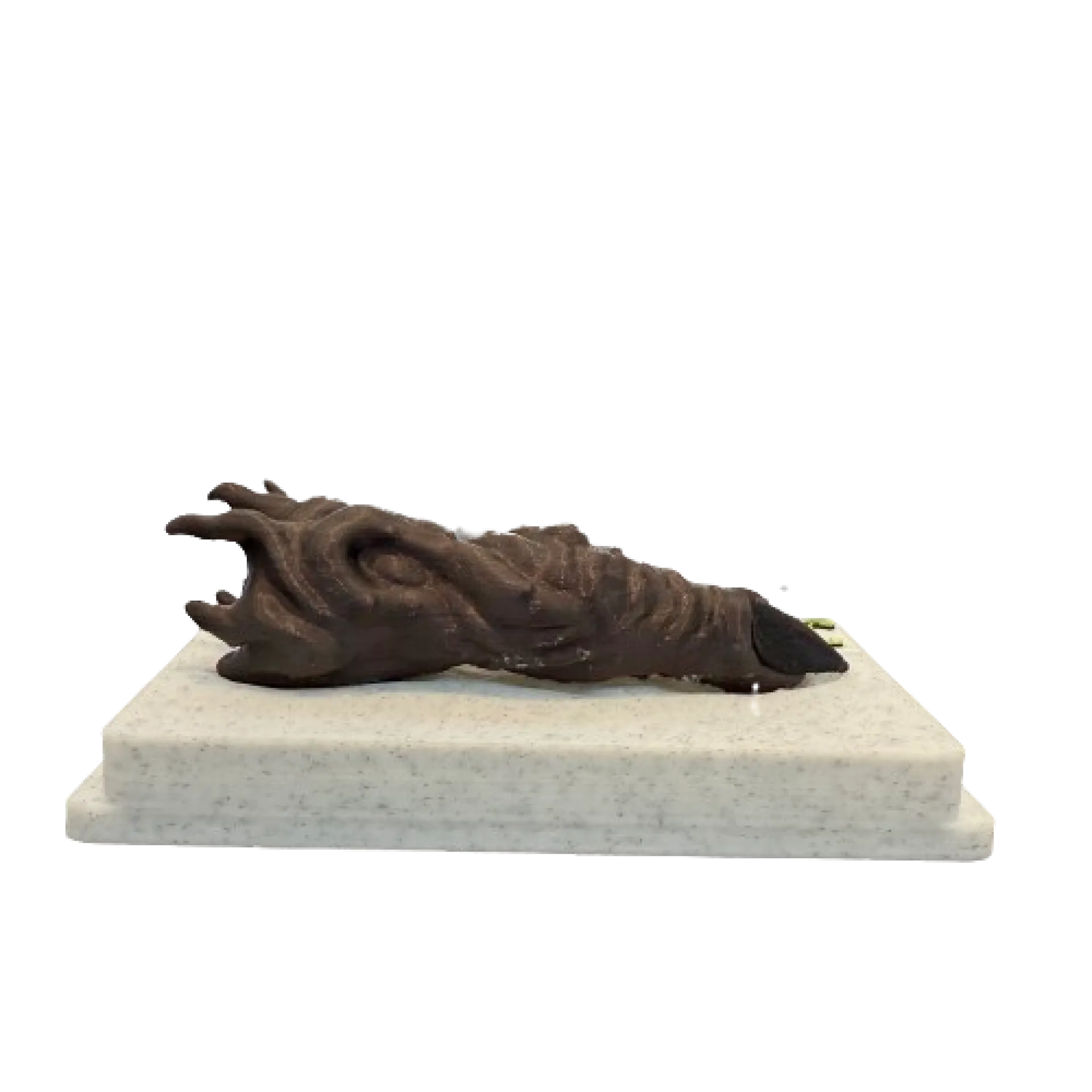 IMG_1328-removebg-preview