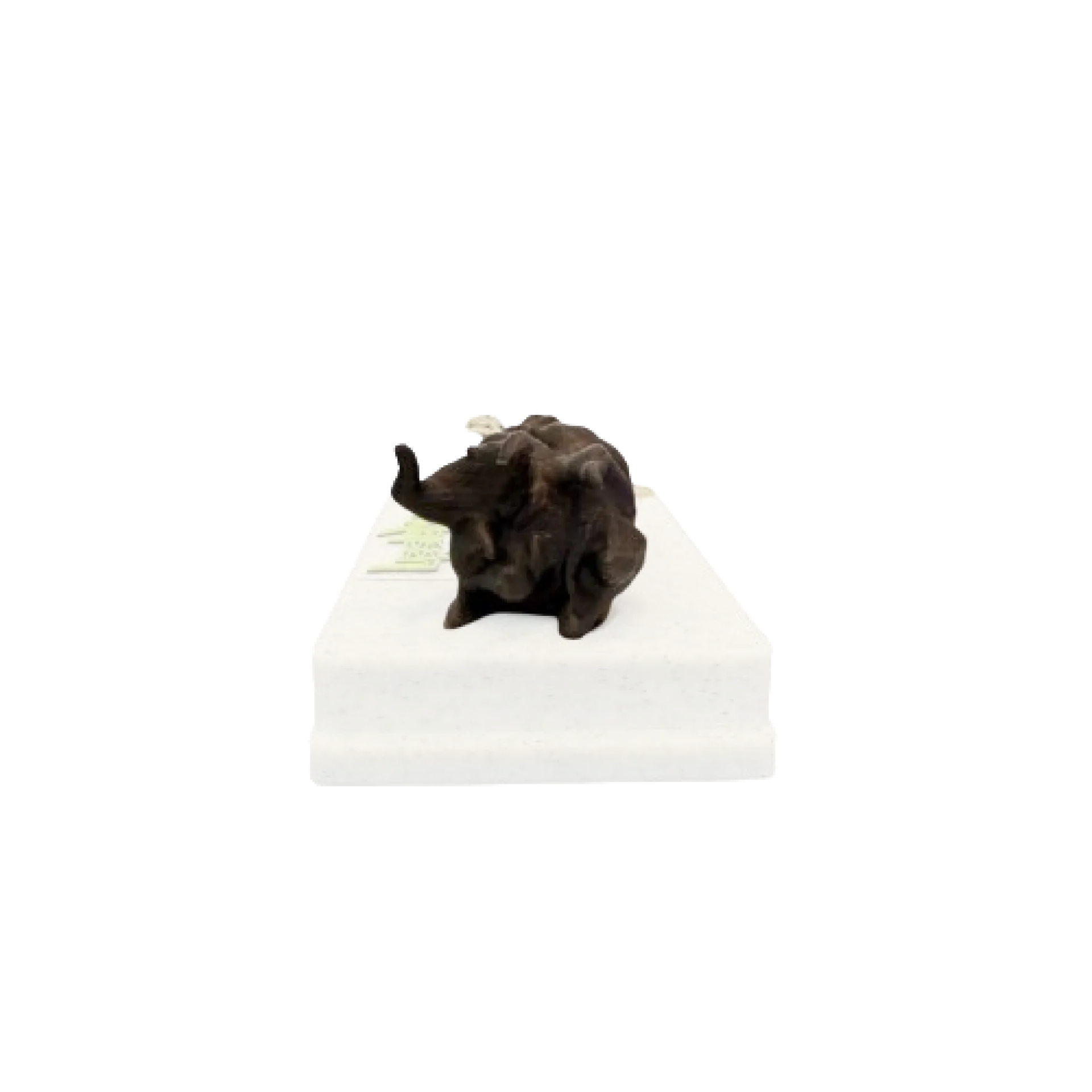 IMG_1327-removebg-preview-removebg-preview