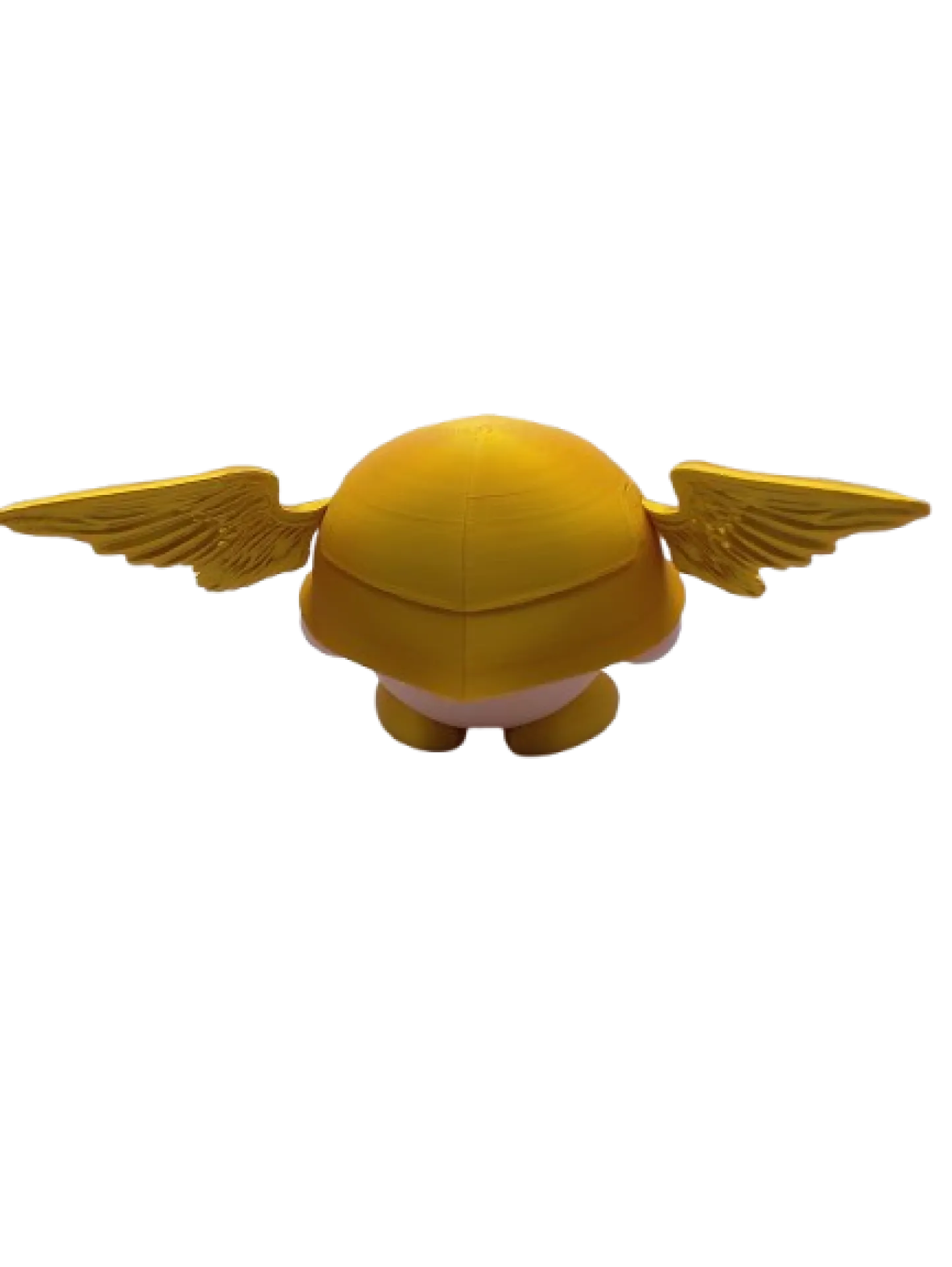 IMG_20240824_115620-removebg-preview