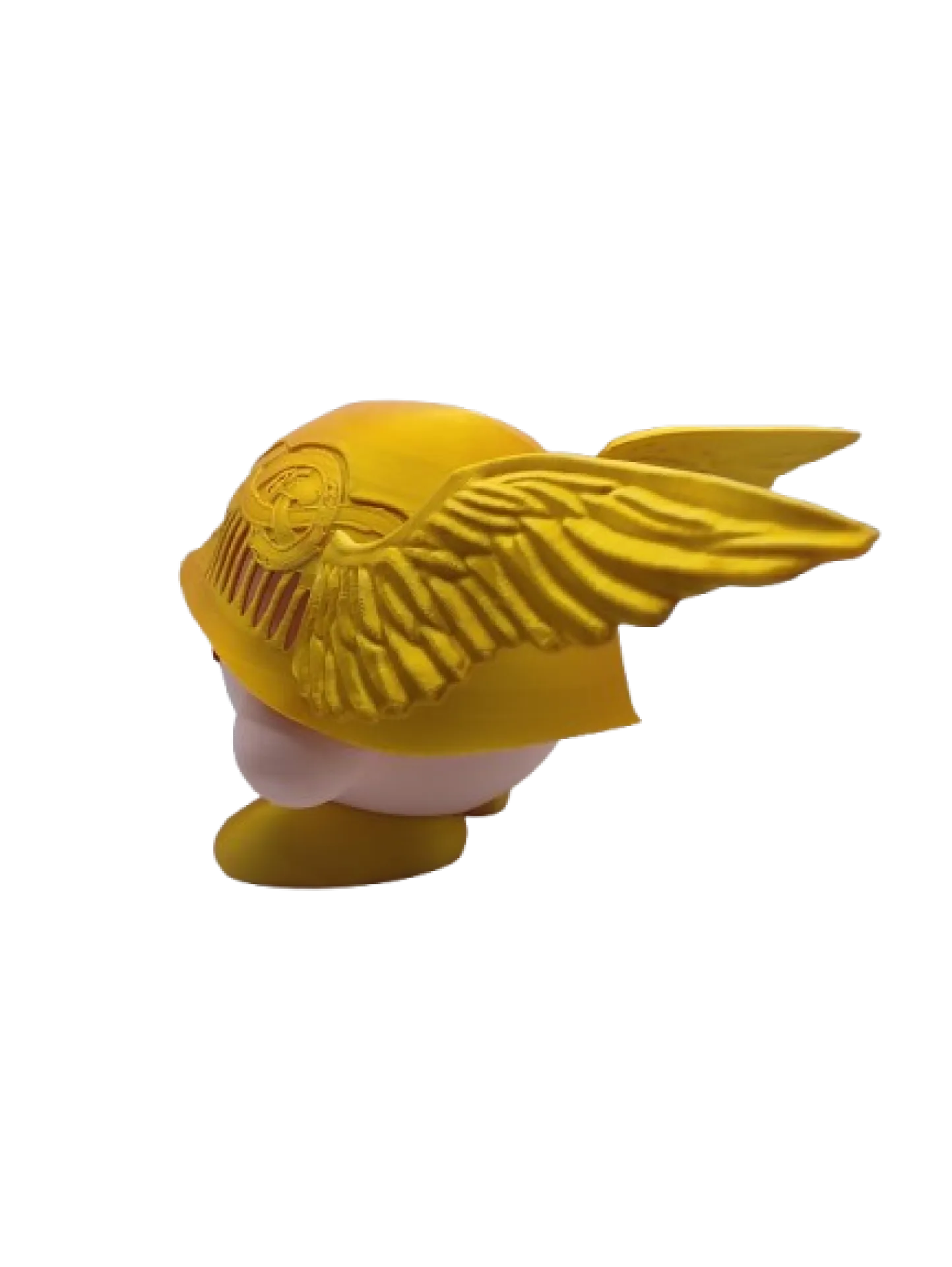 IMG_20240824_115628-removebg-preview