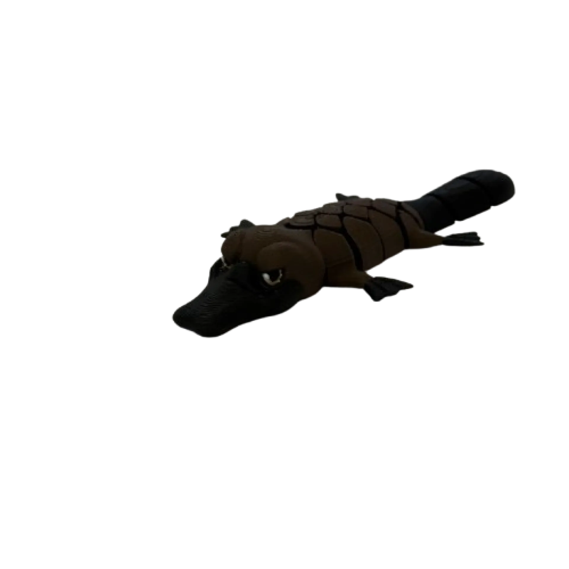 IMG_1265-removebg-preview